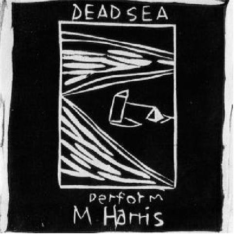 Dead C - Perform M Harris |  Vinyl LP | Dead C - Perform M Harris (LP) | Records on Vinyl