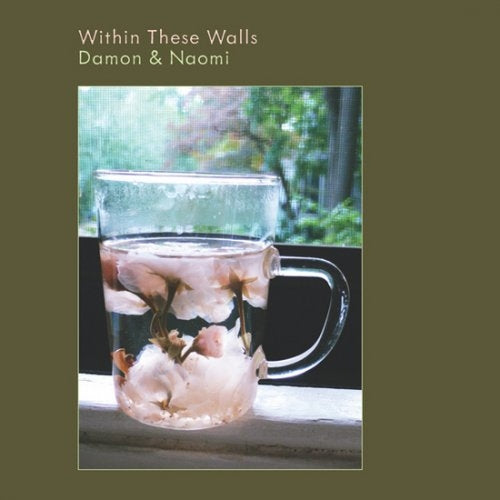 Damon & Naomi - Within These Walls |  Vinyl LP | Damon & Naomi - Within These Walls (LP) | Records on Vinyl