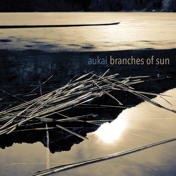 Aukai - Branches Of Sun |  Vinyl LP | Aukai - Branches Of Sun (LP) | Records on Vinyl