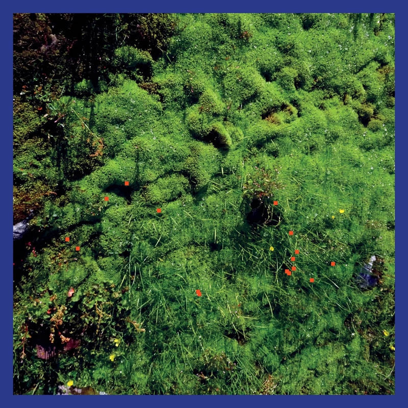 |  Vinyl LP | Matthias Puech - Mt. Hadamard National Park (LP) | Records on Vinyl