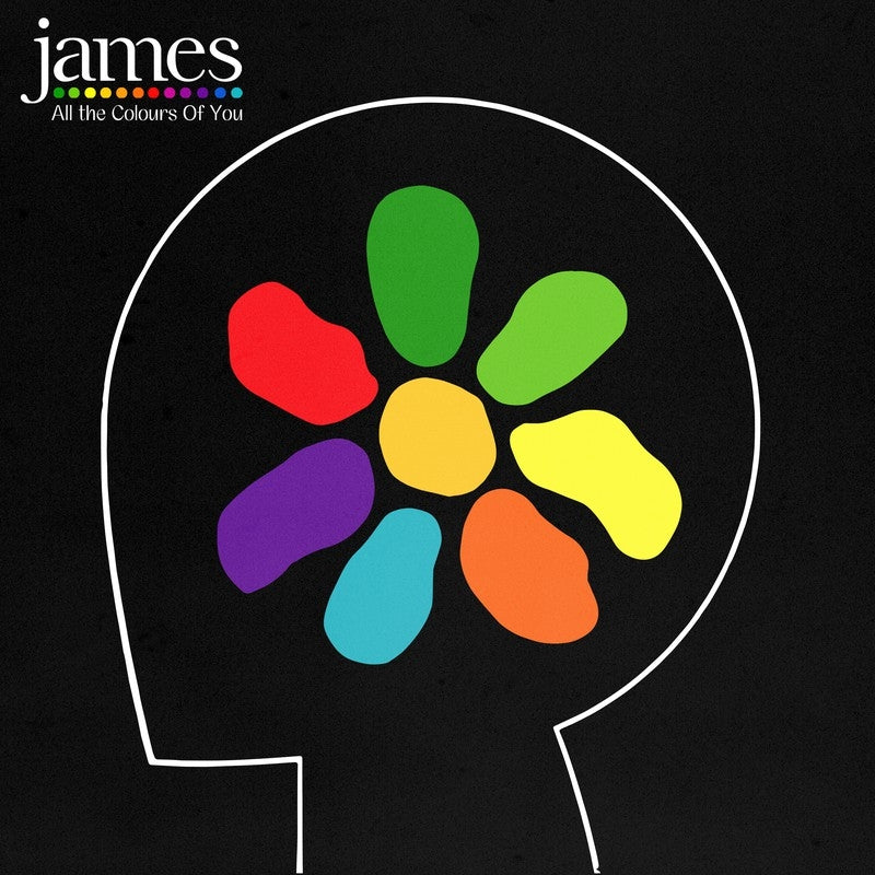 James - All The Colours Of..  |  Vinyl LP | James - All The Colours Of..  (2 LPs) | Records on Vinyl