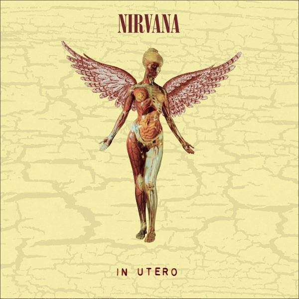  |   | Nirvana - In Utero (2 LPs) | Records on Vinyl