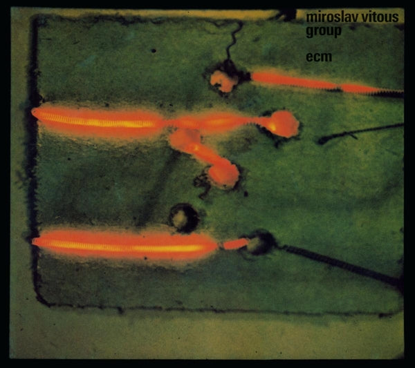  |  Vinyl LP | Miroslav Vitous - Miroslav Vitous Group (LP) | Records on Vinyl