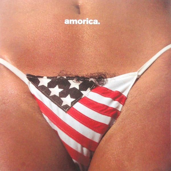 Black Crowes - Amorica |  Vinyl LP | Black Crowes - Amorica (2 LPs) | Records on Vinyl