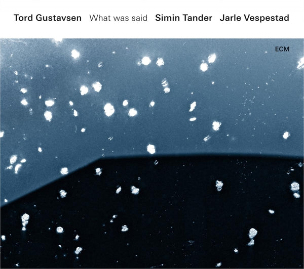 Tord/Simin Tan Gustavsen - What Was Said |  Vinyl LP | Tord/Simin Tan Gustavsen - What Was Said (2 LPs) | Records on Vinyl