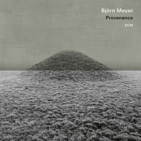  |  Vinyl LP | Bjorn Meyer - Provenance (LP) | Records on Vinyl