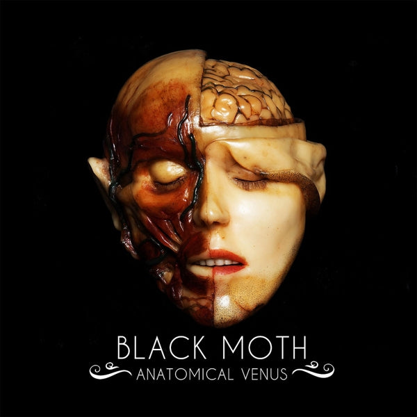  |   | Black Moth - Anatomical Venus (LP) | Records on Vinyl