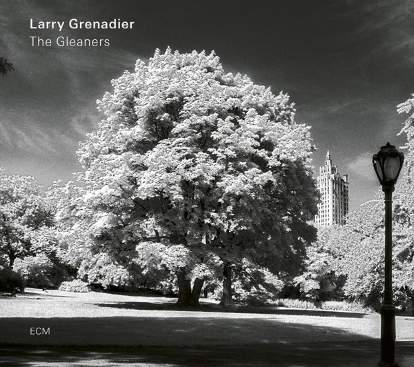  |  Vinyl LP | Larry Grenadier - Gleaners (LP) | Records on Vinyl