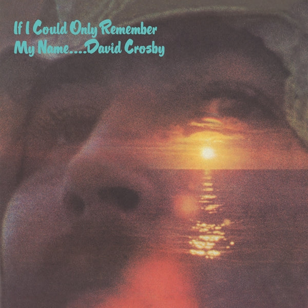David Crosby - If I Could Only..  |  Vinyl LP | David Crosby - If I Could Only..  (LP) | Records on Vinyl