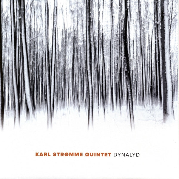 Karl Stromme Quintet - Dynalyd |  Vinyl LP | Karl Stromme Quintet - Dynalyd (LP) | Records on Vinyl