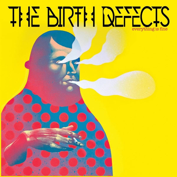 Birth Defects - Everything..  |  Vinyl LP | Birth Defects - Everything..  (LP) | Records on Vinyl