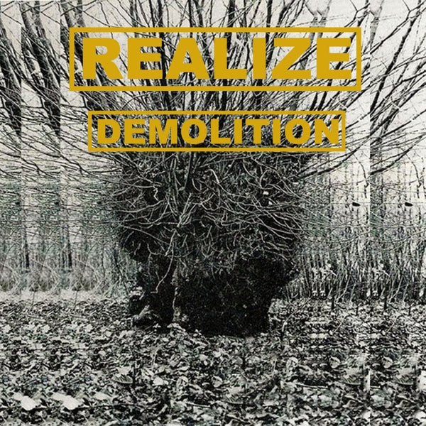 Realize - Demolition |  Vinyl LP | Realize - Demolition (LP) | Records on Vinyl