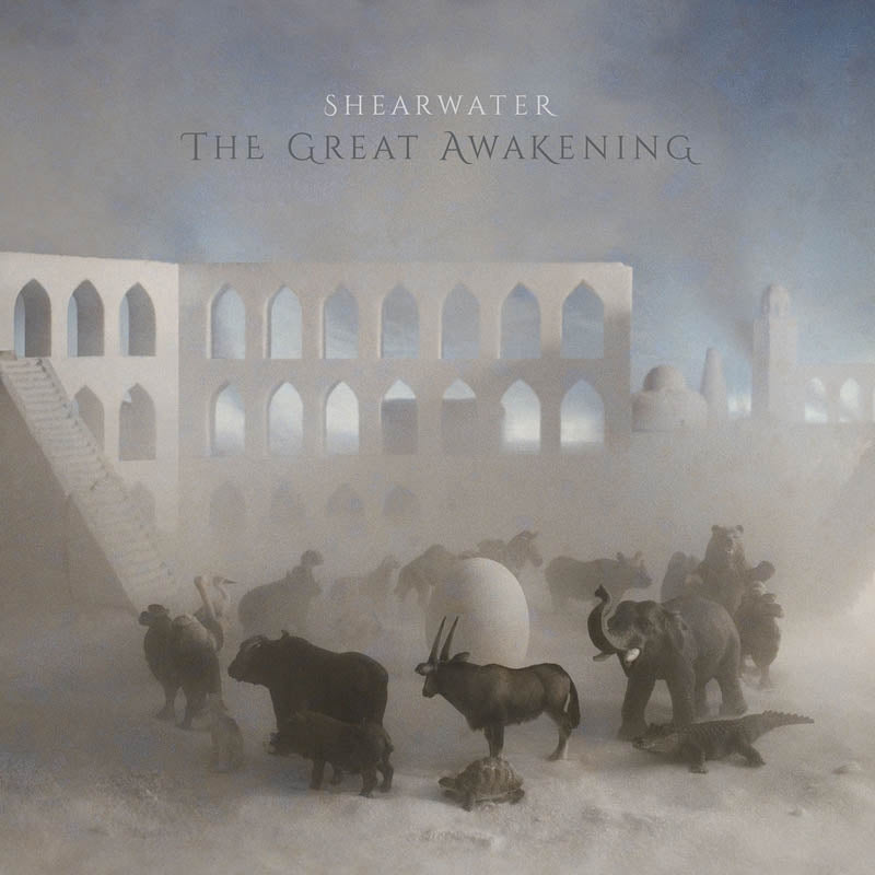  |  Vinyl LP | Shearwater - Great Awakening (2 LPs) | Records on Vinyl