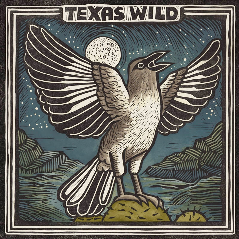  |  Vinyl LP | V/A - Texas Wild (LP) | Records on Vinyl
