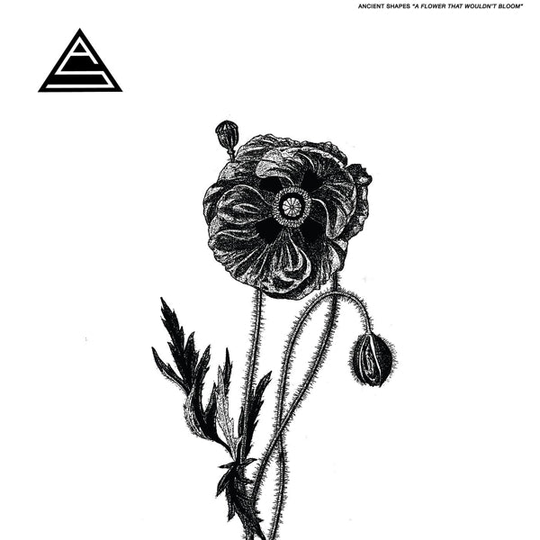 Ancient Shapes - Flower That Wouldn't.. |  Vinyl LP | Ancient Shapes - Flower That Wouldn't.. (LP) | Records on Vinyl
