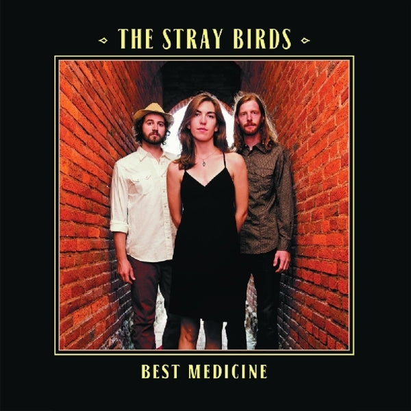Stray Birds - Best Medicine  |  Vinyl LP | Stray Birds - Best Medicine  (2 LPs) | Records on Vinyl
