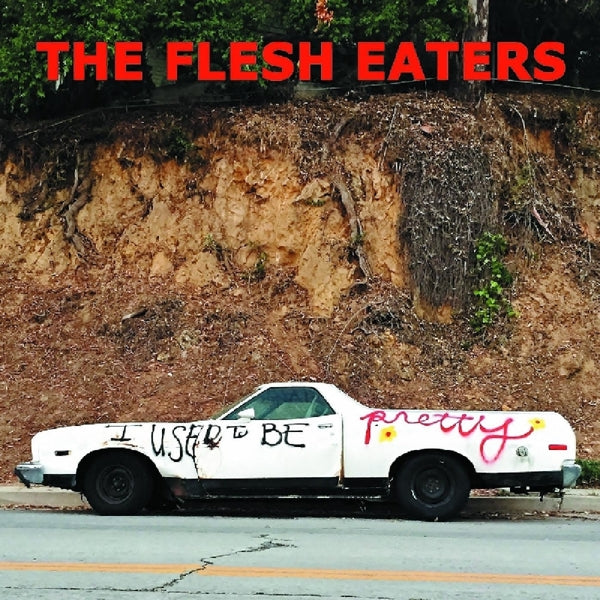 Flesh Eaters - I Used To Be..  |  Vinyl LP | Flesh Eaters - I Used To Be..  (2 LPs) | Records on Vinyl