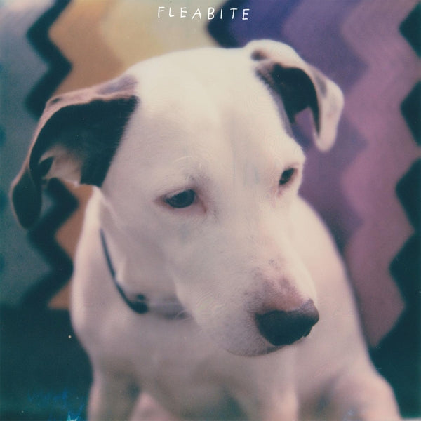 Fleabite - Nvm |  Vinyl LP | Fleabite - Nvm (LP) | Records on Vinyl