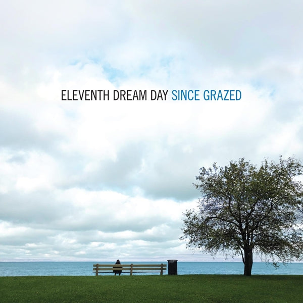 |  Vinyl LP | Eleventh Dream Day - Since Grazed (LP) | Records on Vinyl