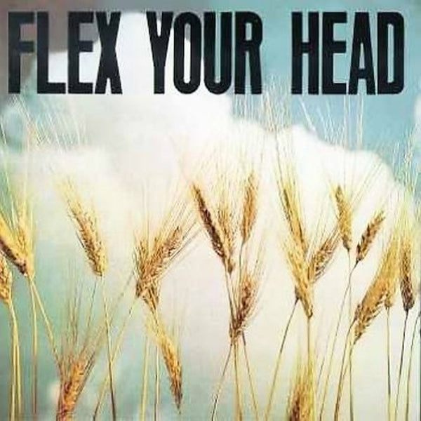V/A - Flex Your Head |  Vinyl LP | V/A - Flex Your Head (LP) | Records on Vinyl