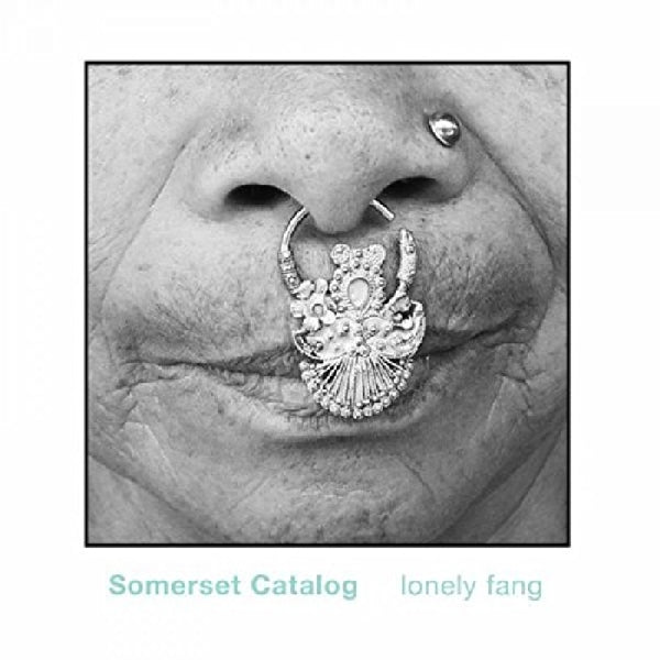 Somerset Catalog - Lonely Fang |  Vinyl LP | Somerset Catalog - Lonely Fang (LP) | Records on Vinyl