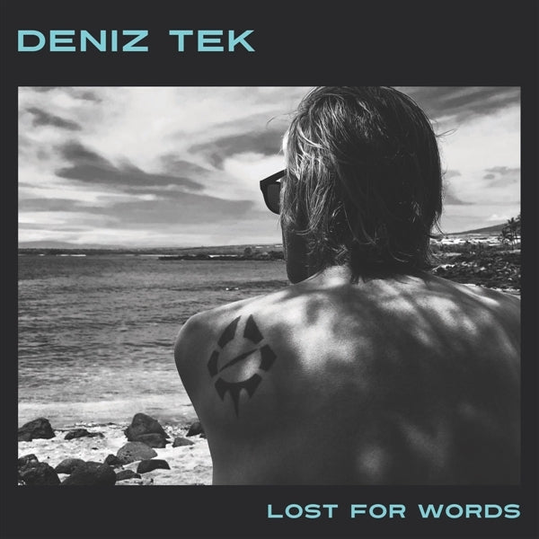  |  Vinyl LP | Deniz Tek - Lost For Words (LP) | Records on Vinyl