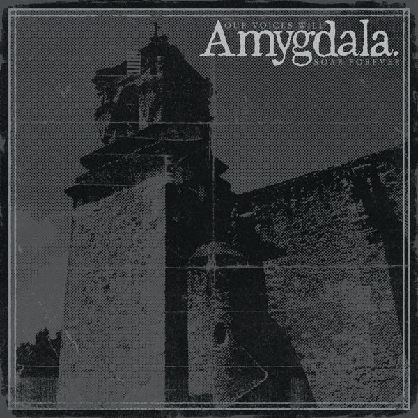 Amygdala - Our Voices Will Soar.. |  Vinyl LP | Amygdala - Our Voices Will Soar.. (LP) | Records on Vinyl