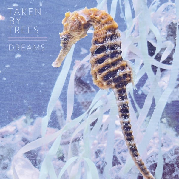  |  12" Single | Taken By Trees - Dreams Never Die (Single) | Records on Vinyl