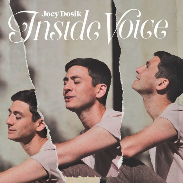  |  Vinyl LP | Joey Dosik - Inside Voice (LP) | Records on Vinyl