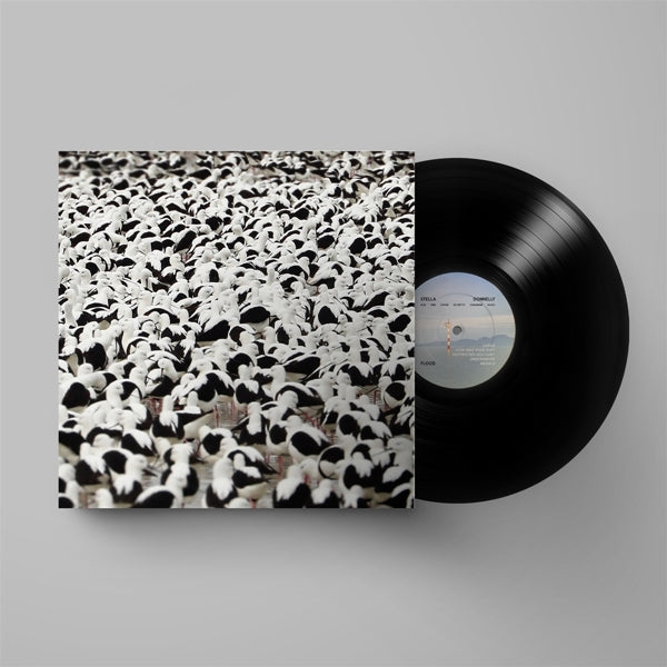 |  Vinyl LP | Stella Donnelly - Flood (LP) | Records on Vinyl