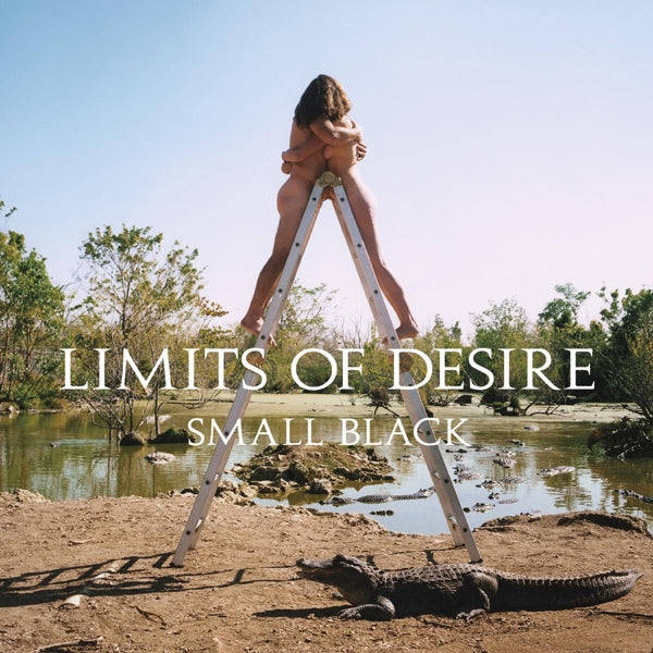 Small Black - Limits Of Desire |  Vinyl LP | Small Black - Limits Of Desire (LP) | Records on Vinyl