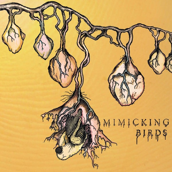  |  Vinyl LP | Mimicking Birds - Mimicking Birds (LP) | Records on Vinyl