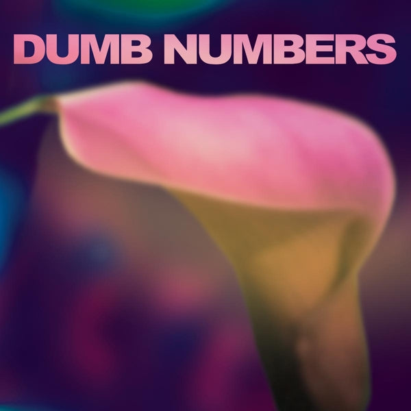 Dumb Numbers - Dumb Numbers |  Vinyl LP | Dumb Numbers - Dumb Numbers (LP) | Records on Vinyl