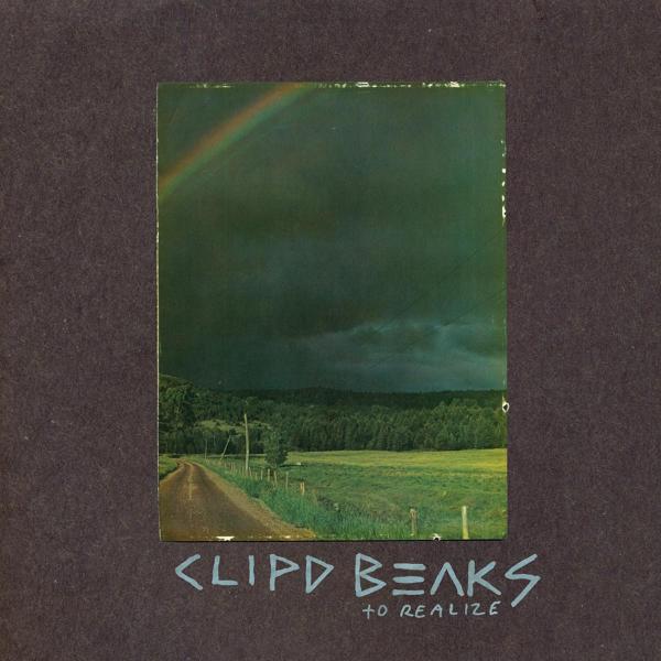 Clipd Beaks - To Realize |  Vinyl LP | Clipd Beaks - To Realize (LP) | Records on Vinyl