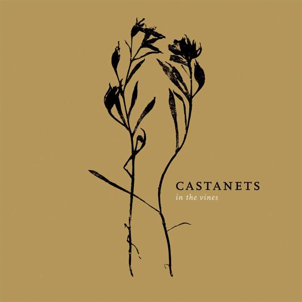 Castanets - In The Vines |  Vinyl LP | Castanets - In The Vines (LP) | Records on Vinyl