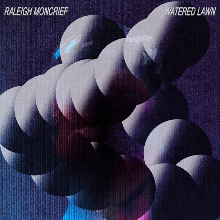  |  Vinyl LP | Raleigh Moncrief - Watered Lawn (LP) | Records on Vinyl