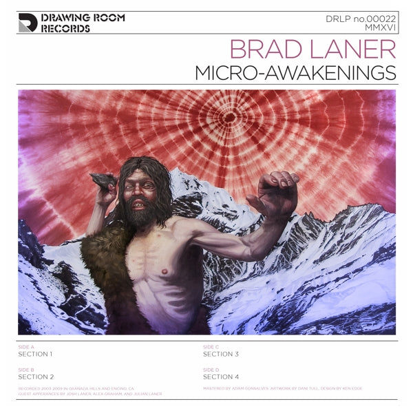 Brad Laner - Micro |  Vinyl LP | Brad Laner - Micro (2 LPs) | Records on Vinyl