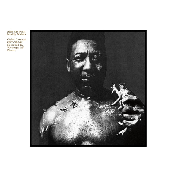 Muddy Waters - After The Rain |  Vinyl LP | Muddy Waters - After The Rain (LP) | Records on Vinyl