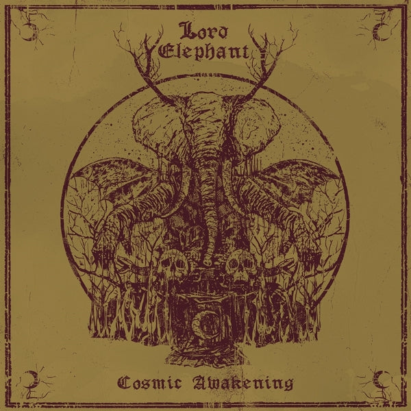 |  Vinyl LP | Lord Elephant - Cosmic Awakening (LP) | Records on Vinyl
