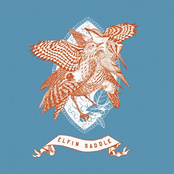 Elfin Saddle - Devastates |  Vinyl LP | Elfin Saddle - Devastates (LP) | Records on Vinyl