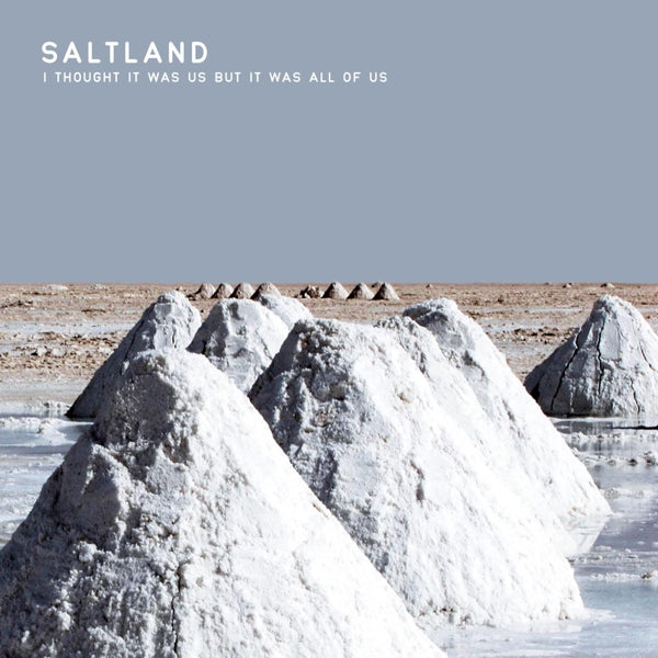 Saltland - I Thought It Was Us But.. |  Vinyl LP | Saltland - I Thought It Was Us But.. (LP) | Records on Vinyl