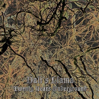 Dali's Llama - Twenty Years Underground |  Vinyl LP | Dali's Llama - Twenty Years Underground (LP) | Records on Vinyl