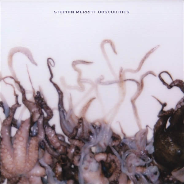 Stephin Merritt - Obscurities |  Vinyl LP | Stephin Merritt - Obscurities (LP) | Records on Vinyl