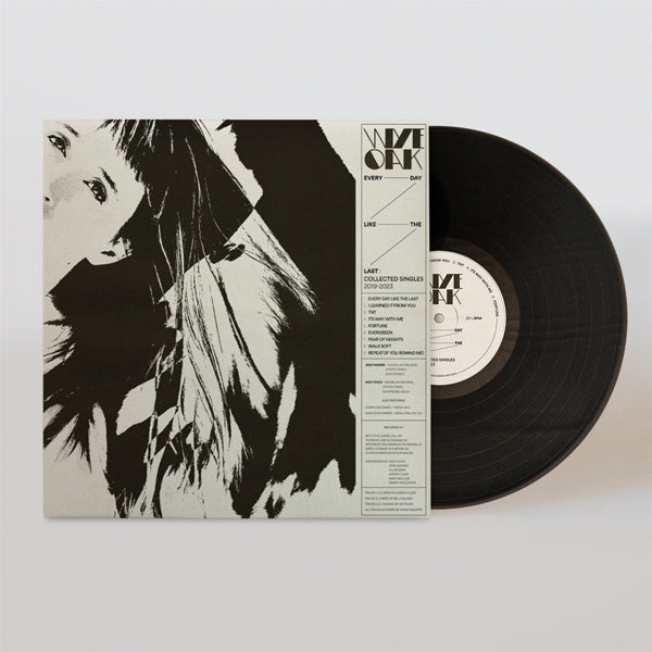  |  Vinyl LP | Wye Oak - Every Day Like the Last (LP) | Records on Vinyl