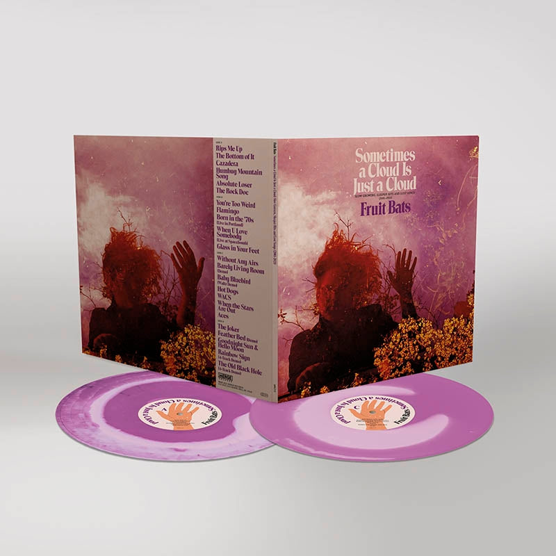  |  Vinyl LP | Fruit Bats - Sometimes a Cloud is Just a Cloud (2 LPs) | Records on Vinyl