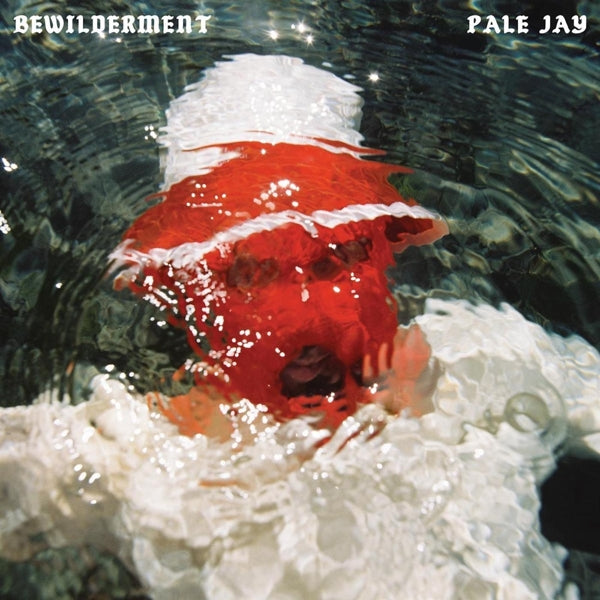  |  Vinyl LP | Pale Jay & Okonski - Bewilderment (LP) | Records on Vinyl