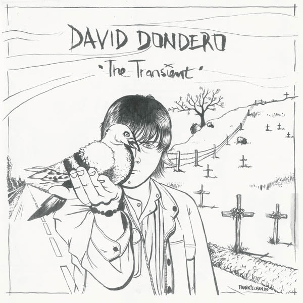 David Dondero - Transient  |  Vinyl LP | David Dondero - Transient  (LP) | Records on Vinyl