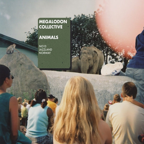  |  Vinyl LP | Megalodon Collective - Animals (2 LPs) | Records on Vinyl
