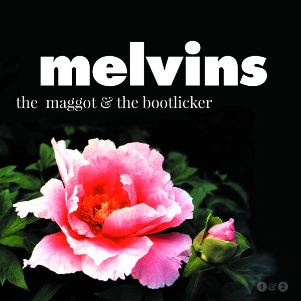  |  Vinyl LP | Melvins - Maggot & the Bootlicker (LP) | Records on Vinyl