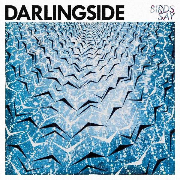  |  Vinyl LP | Darlingside - Birds Say (2 LPs) | Records on Vinyl